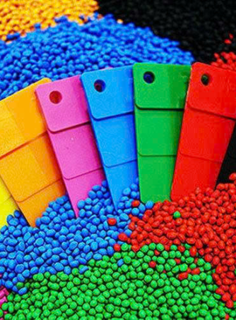 Ảnh 2